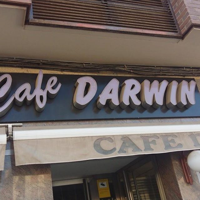 Café Darwin